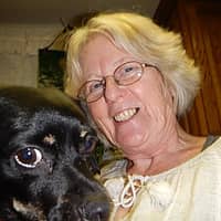 Sitter Profile Image: Arlene C.