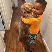 Sitter Profile Image: Angelica L.