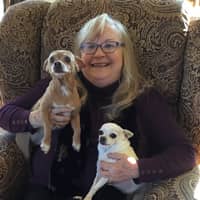 Sitter Profile Image: Jill B.