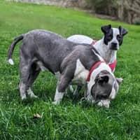 Sitter Profile Image: Skyler P.