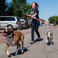 Sitter Profile Image: Kelly R.