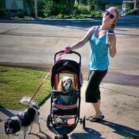 Sitter Profile Image: Jaci S.