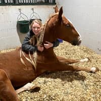 Sitter Profile Image: Amanda B.