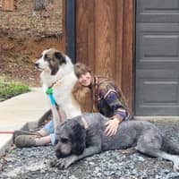 Sitter Profile Image: Abby C.