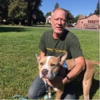 Sitter Profile Image: Todd P.