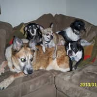 Sitter Profile Image: Doyle B.