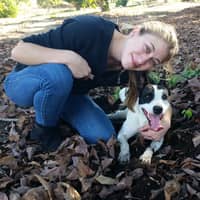 Sitter Profile Image: Sarah K.