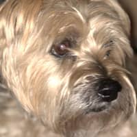 Sitter Profile Image: Cathleen P.