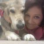 Sitter Profile Image: Vanessa S.