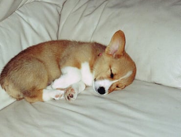 Image 0