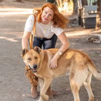 Sitter Profile Image: Cally F.