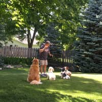 Sitter Profile Image: Edward M.