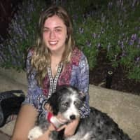 Sitter Profile Image: Ireland P.