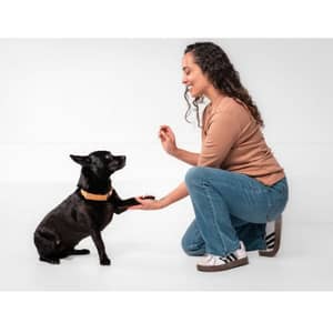 Sitter Profile Image: Nyla & Corey M.