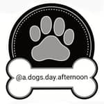 Sitter Profile Image: Christopher J.