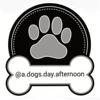 Sitter Profile Image: Christopher J.