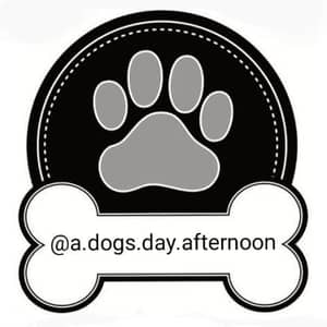 Sitter Profile Image: Christopher J.