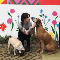 Sitter Profile Image: Ceridwen P.