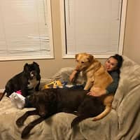 Sitter Profile Image: Belle N.