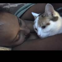 Sitter Profile Image: Sara R.