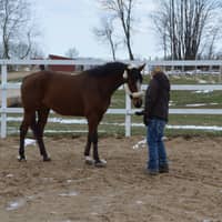 Sitter Profile Image: Faith B.