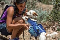 Sitter Profile Image: Shelley C.