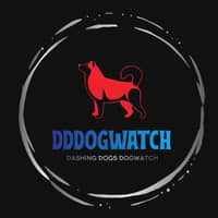 Sitter Profile Image: Chris W.