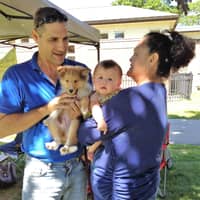 Sitter Profile Image: Tony C.