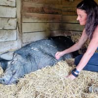 Sitter Profile Image: Jessica C.