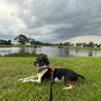 Sitter Profile Image: Jennifer P.