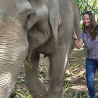 Sitter Profile Image: Tammy T.