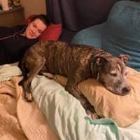 Sitter Profile Image: Rosemary K.