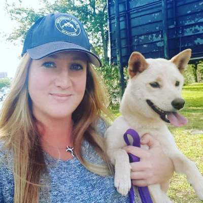 dog boarding new bern nc