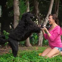 Sitter Profile Image: Natalie J.