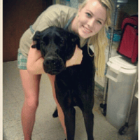 Sitter Profile Image: Alyssa H.