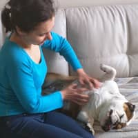 Sitter Profile Image: Alexandra and Georgi P.