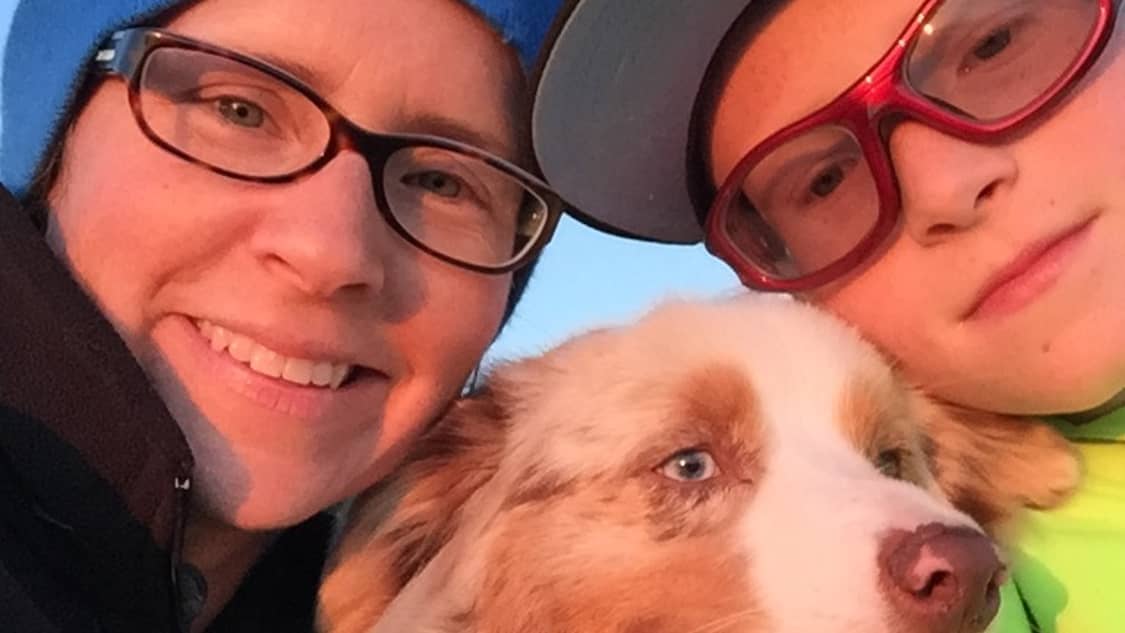 Best Dog Boarding In Everett Wa Rover Com