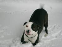 Sitter Profile Image: Dawn R.