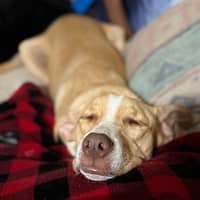 Sitter Profile Image: Myesha F.