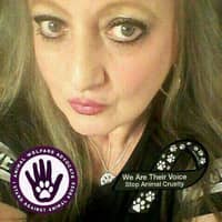 Sitter Profile Image: Terrie S.