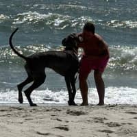 Sitter Profile Image: Brayden C.