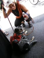 Sitter Profile Image: Lynne W.