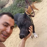 Sitter Profile Image: Andrian D.