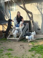 Sitter Profile Image: Krystle R.