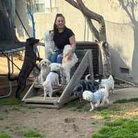 Sitter Profile Image: Krystle R.