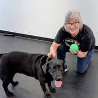 Sitter Profile Image: Barbara V.