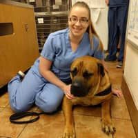 Sitter Profile Image: Lauren D.