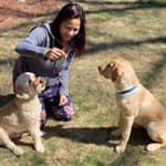 Sitter Profile Image: Priti T.