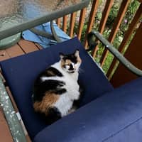 Sitter Profile Image: Sarah C.