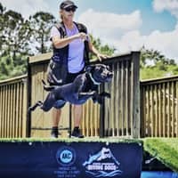 Sitter Profile Image: Joule C.